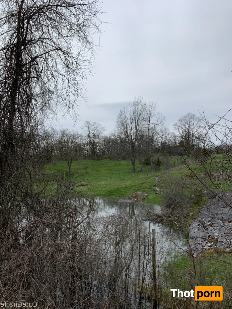 Angelina Skyy Free 12693112