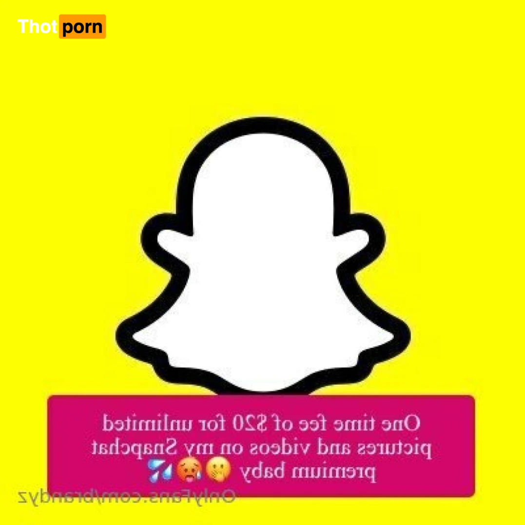 Brandy Bunny Bunz 🐰 16066194