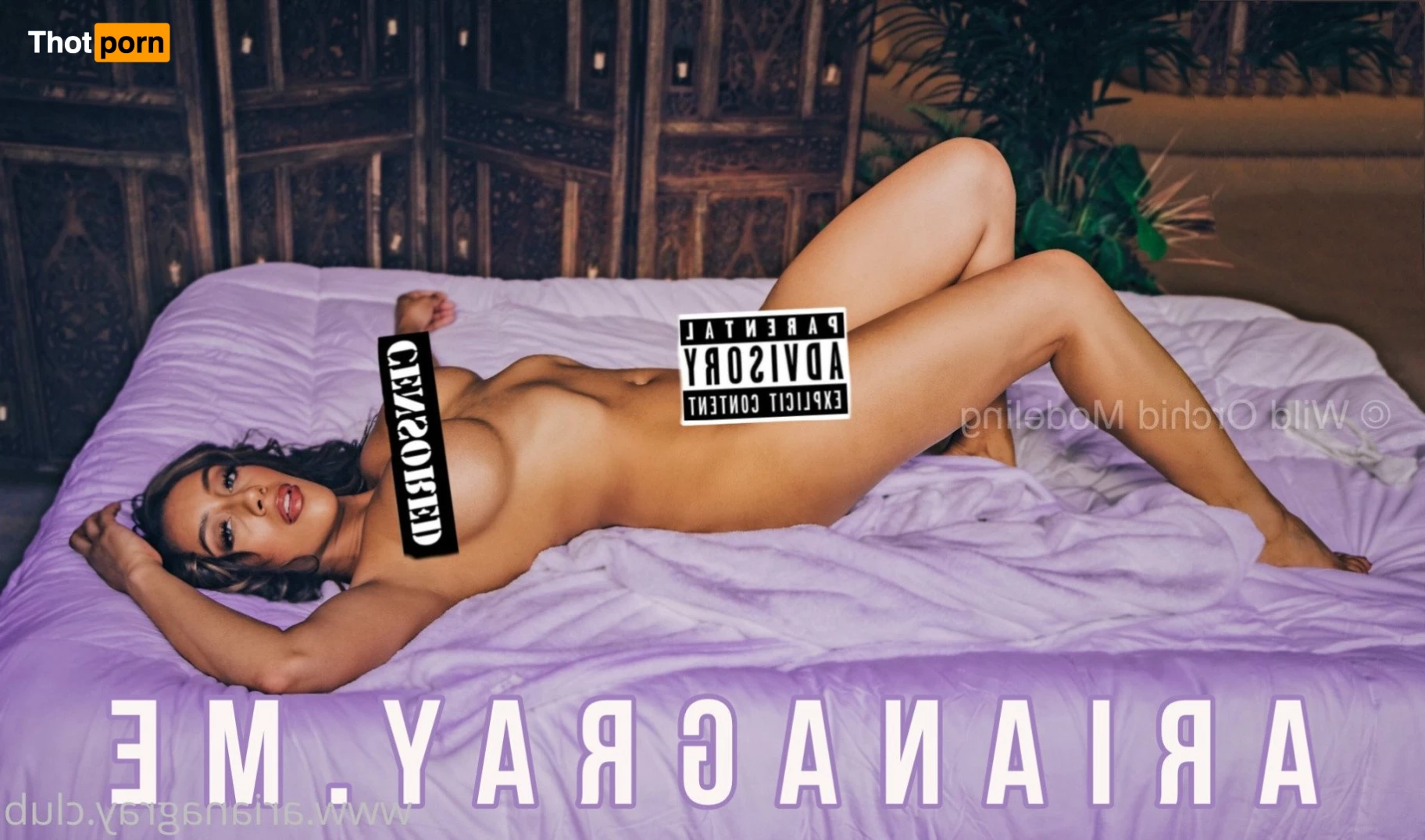 Ebony Goddess Ariana 3680861