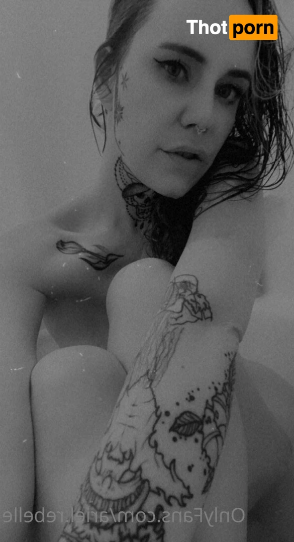 Ariel Rebelle 3478289