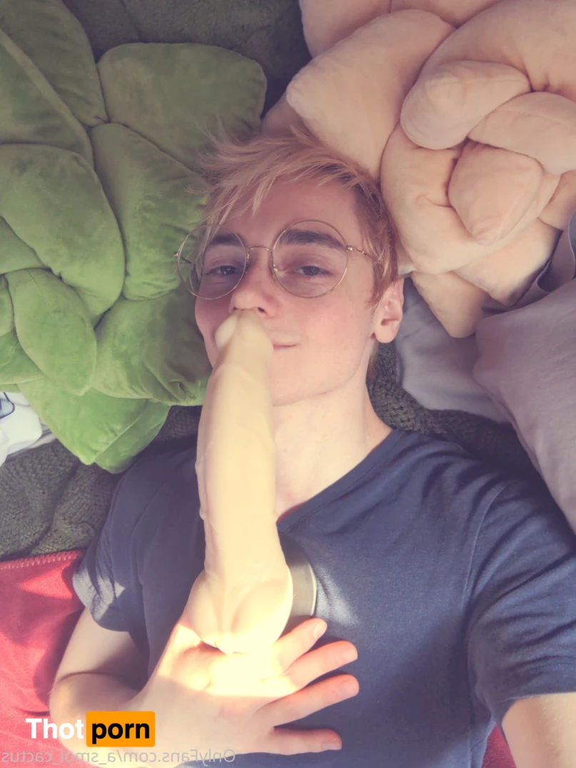 A Smol Cactus 6468108