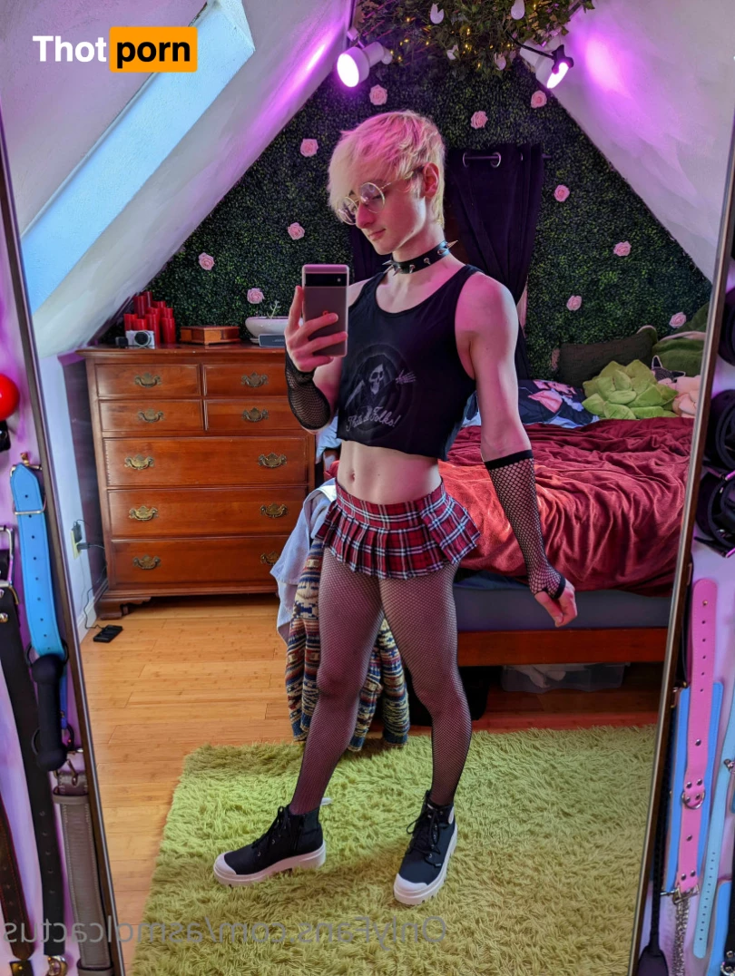 A Smol Cactus 6468143