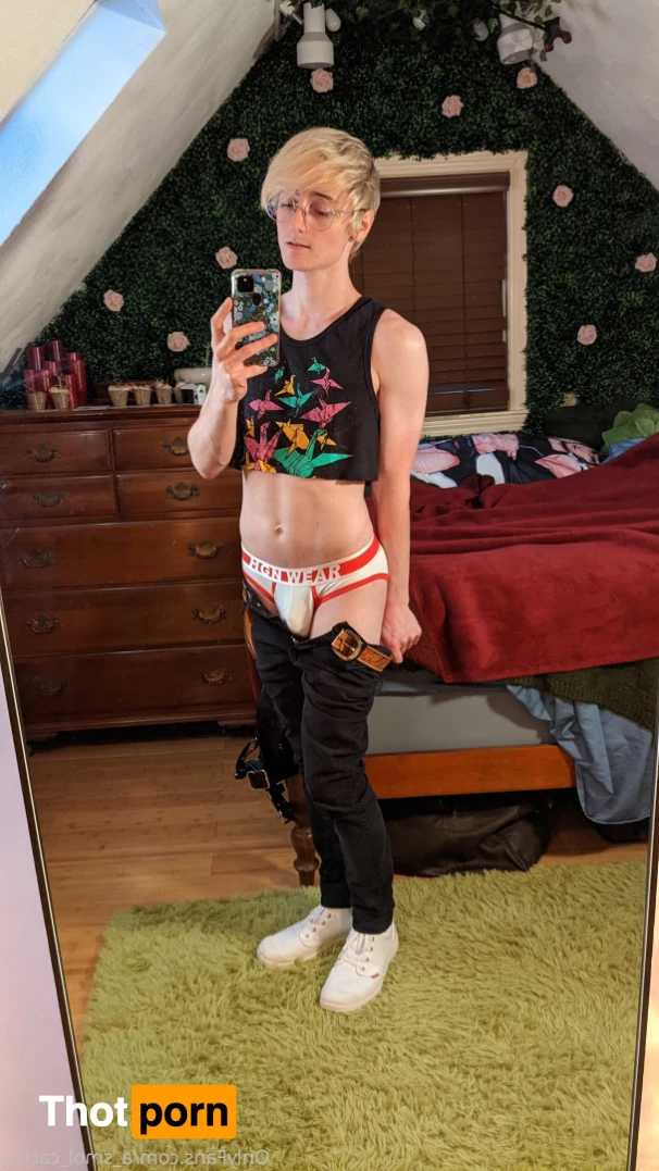 A Smol Cactus 6468243