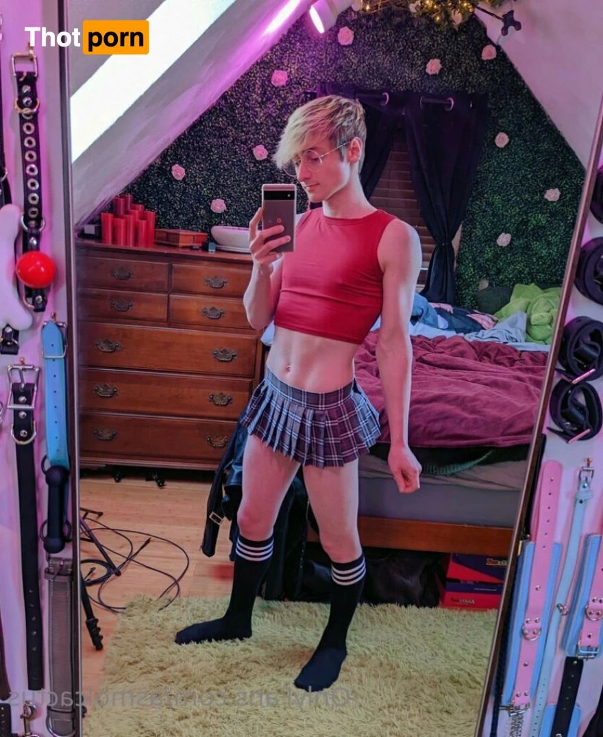 A Smol Cactus 6468253