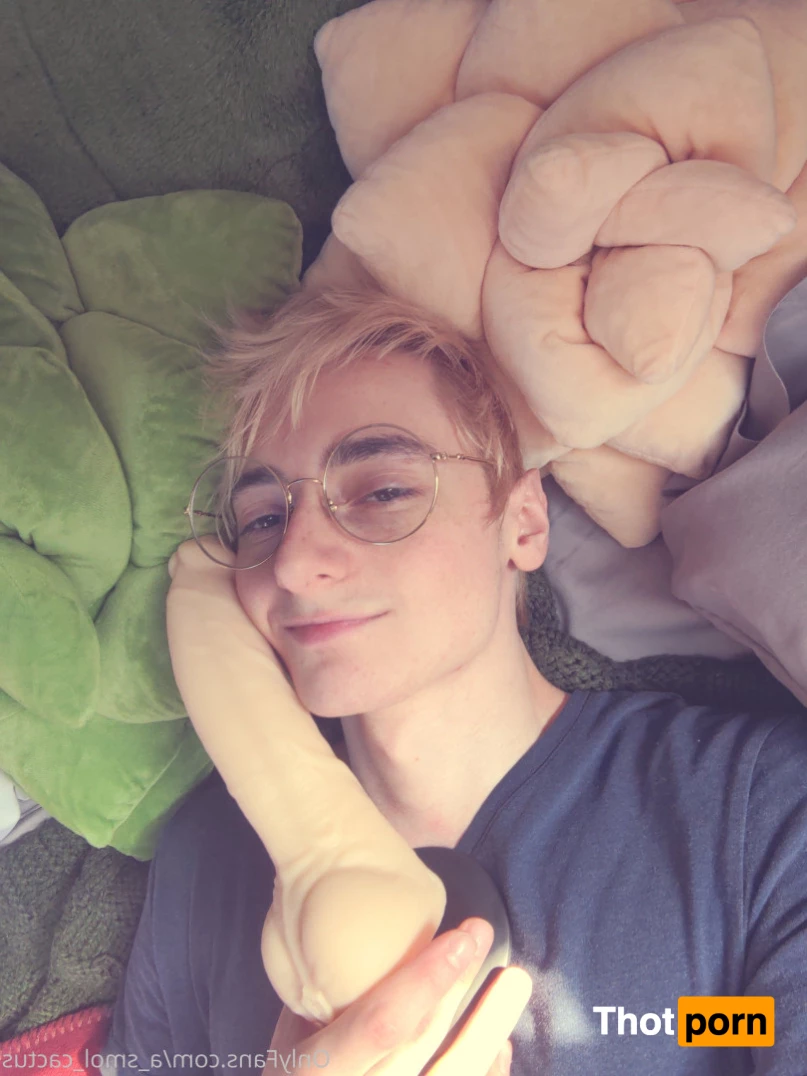 A Smol Cactus 6468289