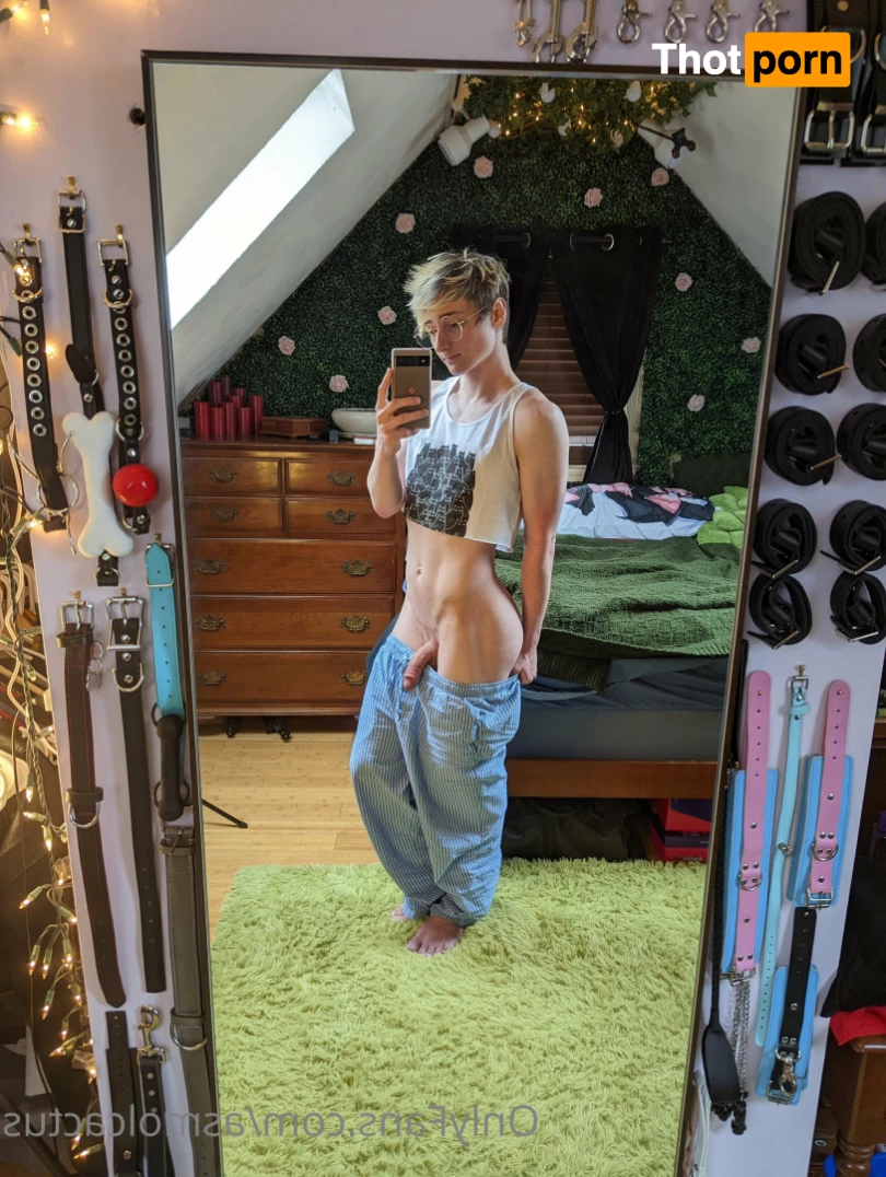 A Smol Cactus 6468432