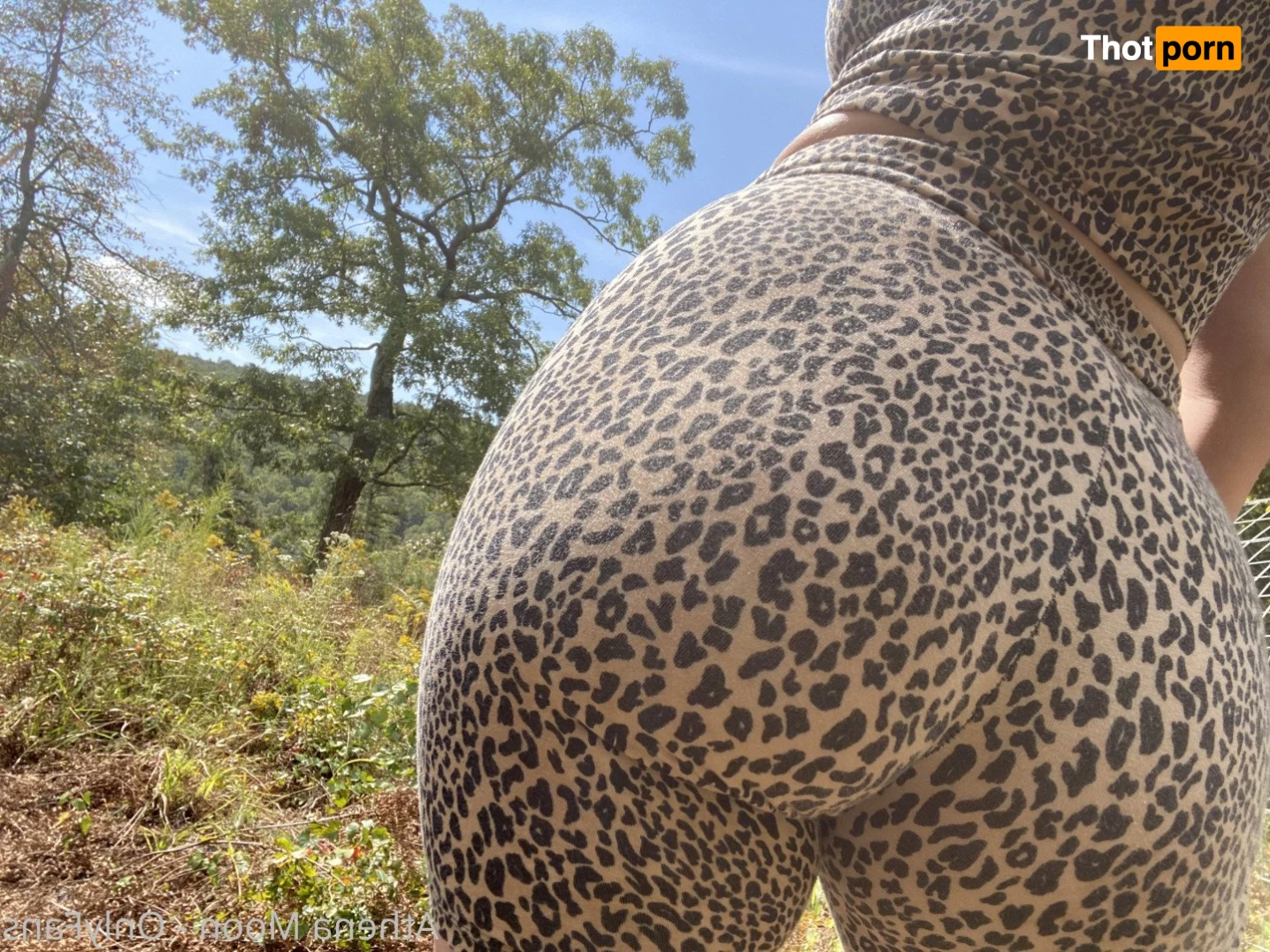 Athena Moon 🌙 3633602