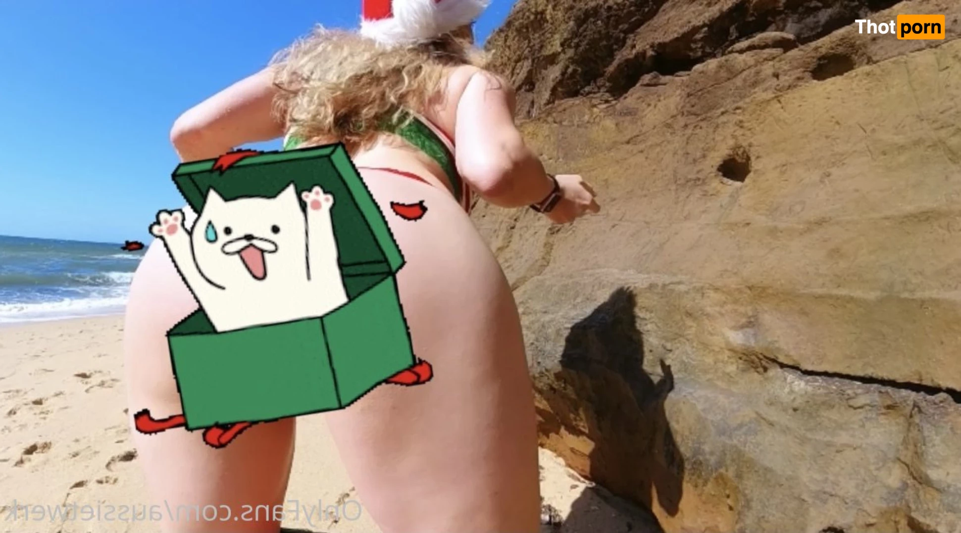 Aussie Twerk 6464041