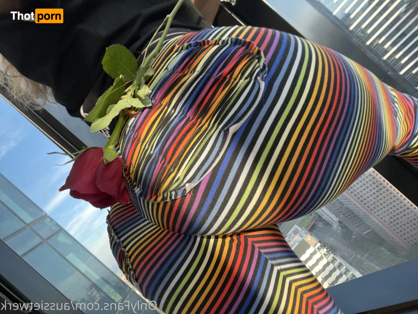 Aussie Twerk 6464112