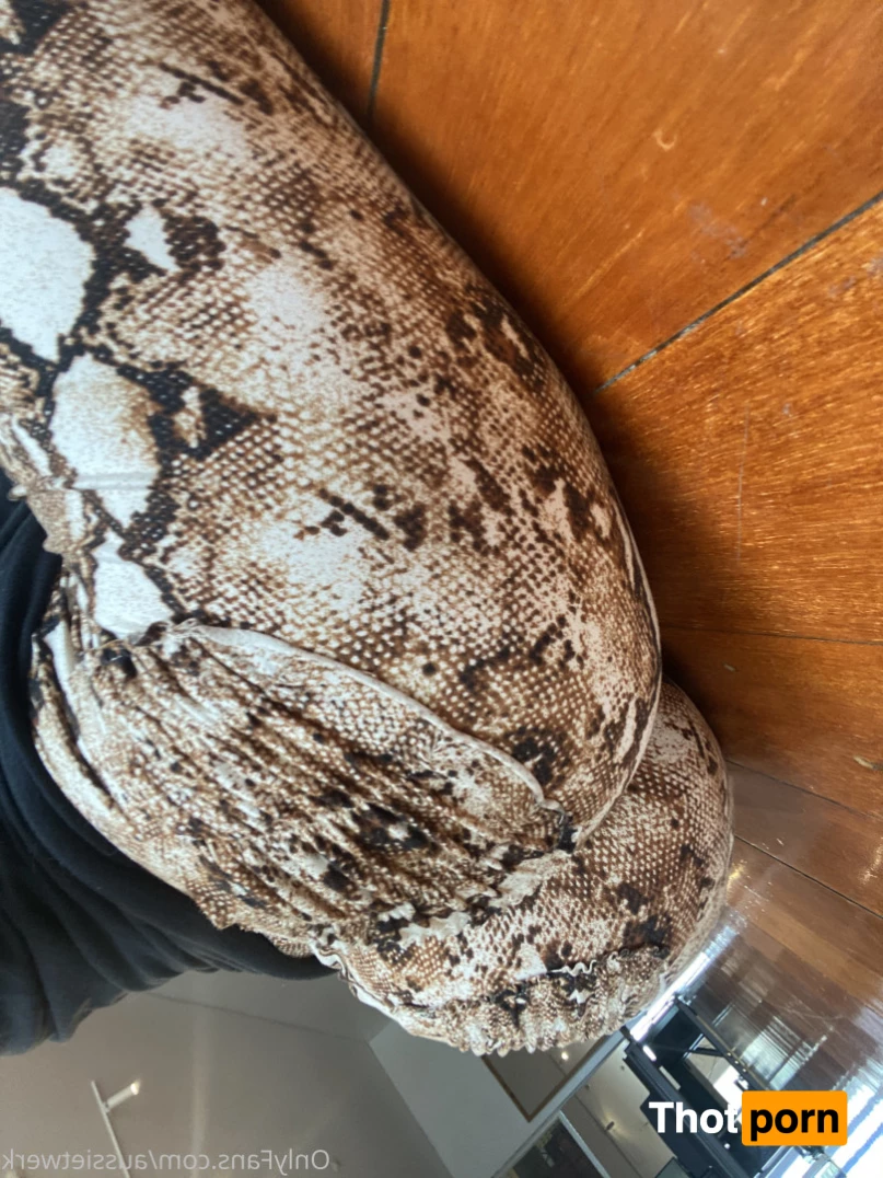 Aussie Twerk 6464283