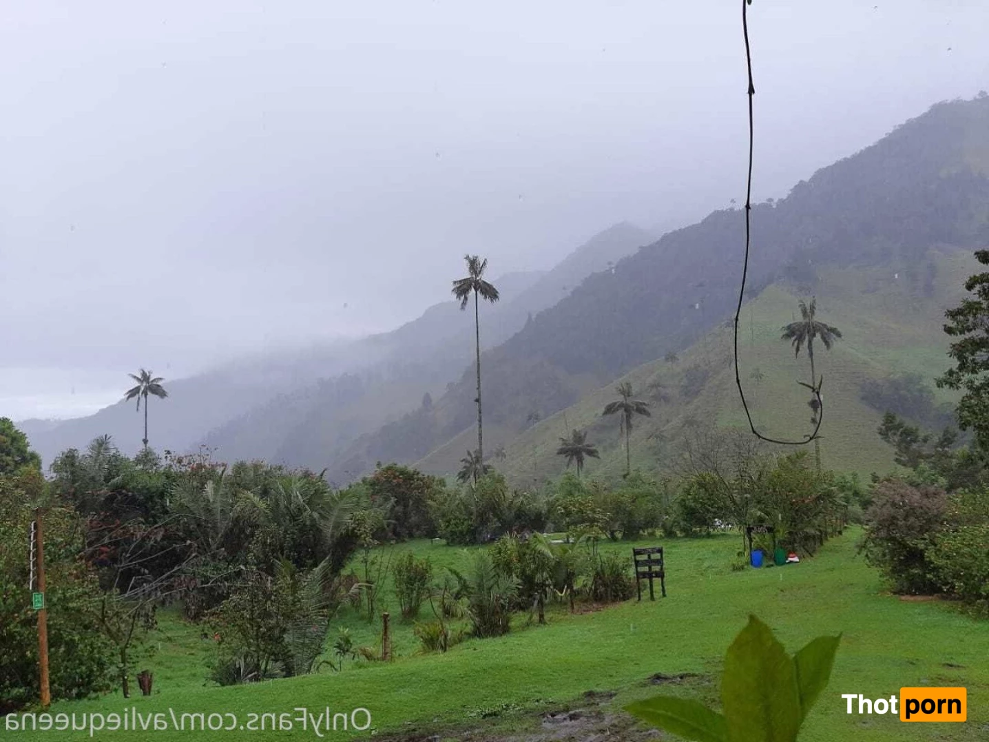 🌺Avlie🌺 3582219