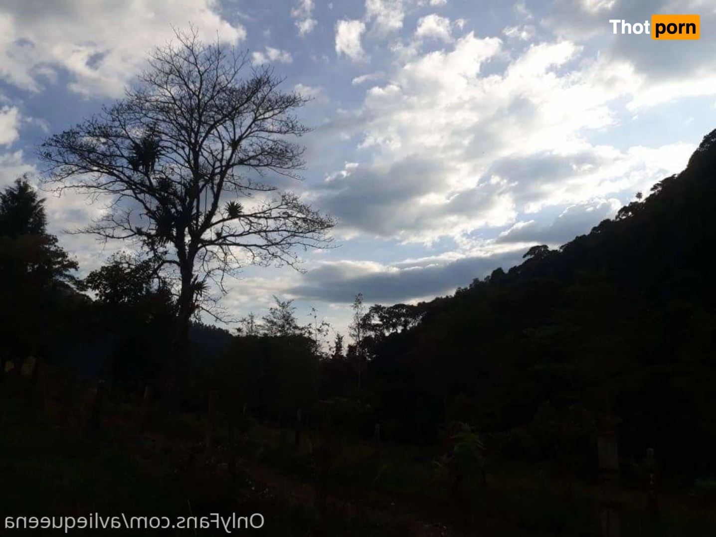 🌺Avlie🌺 3582395