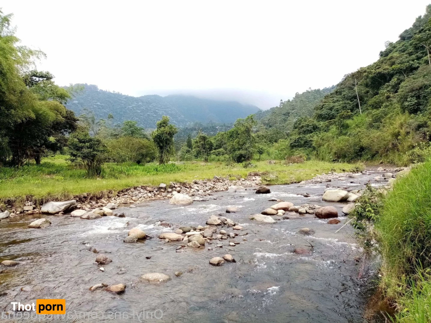 🌺Avlie🌺 3582589