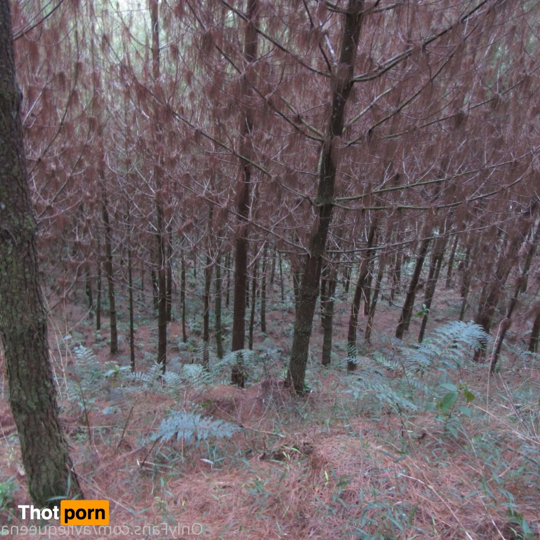 🌺Avlie🌺 3582674