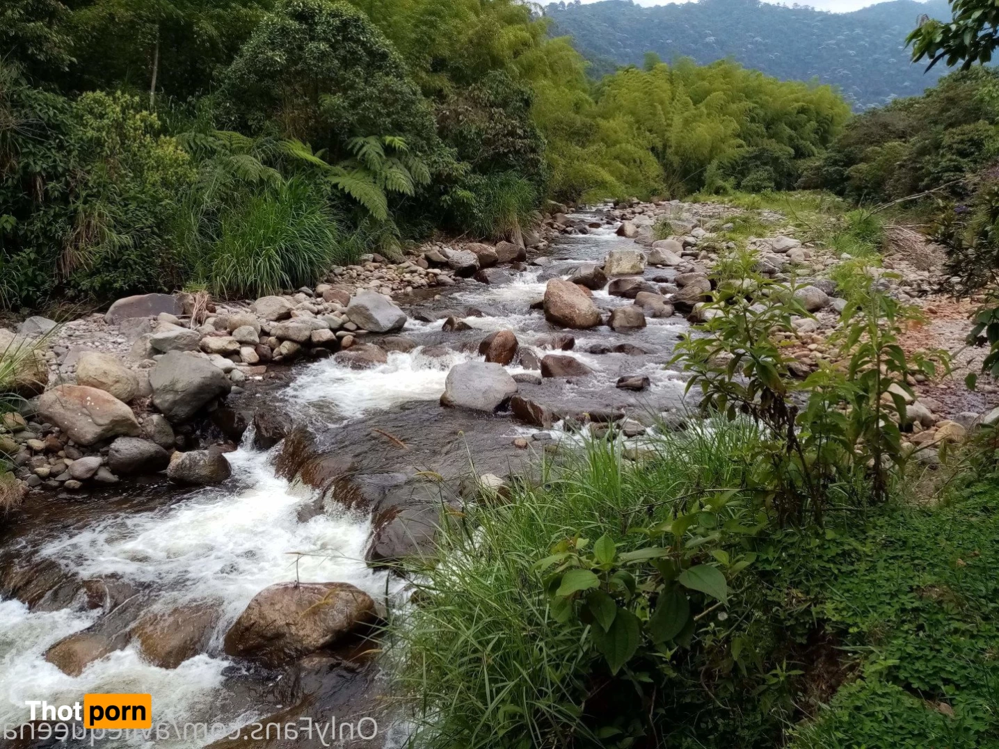 🌺Avlie🌺 3582721