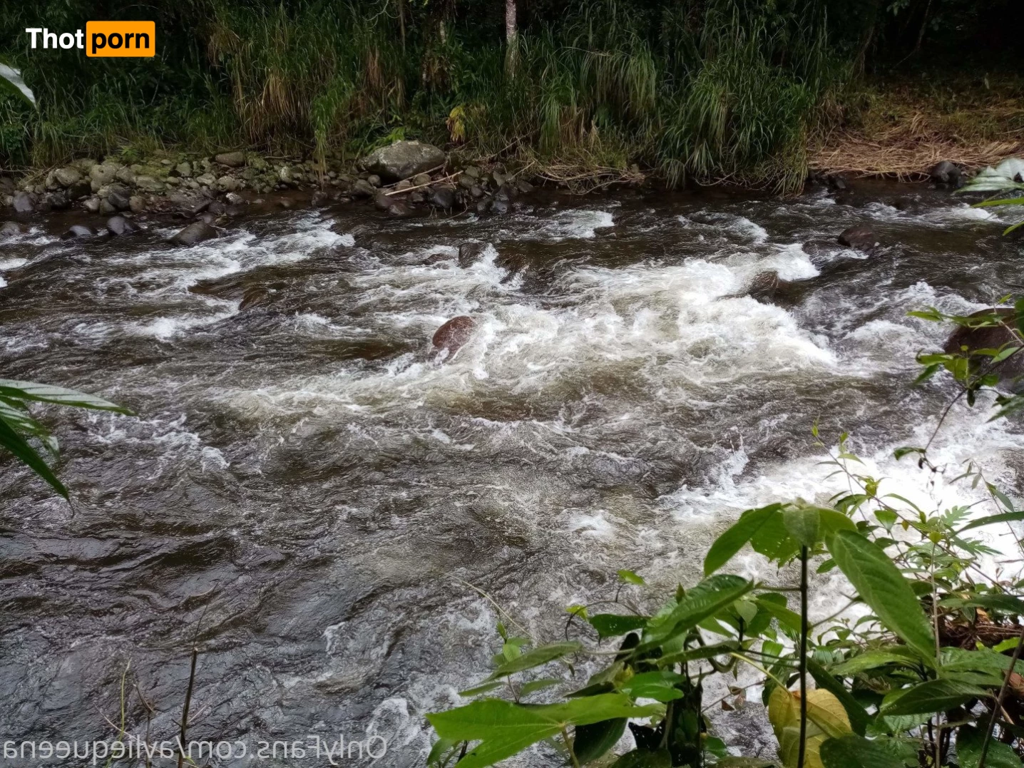 🌺Avlie🌺 3582922