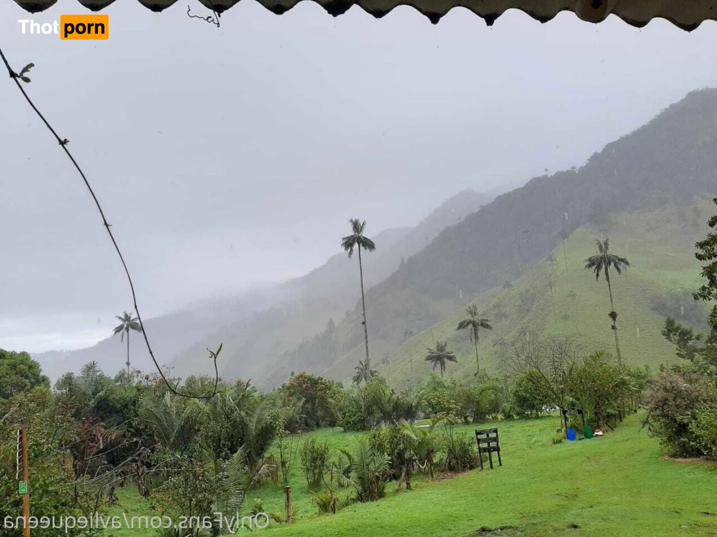 🌺Avlie🌺 3582974