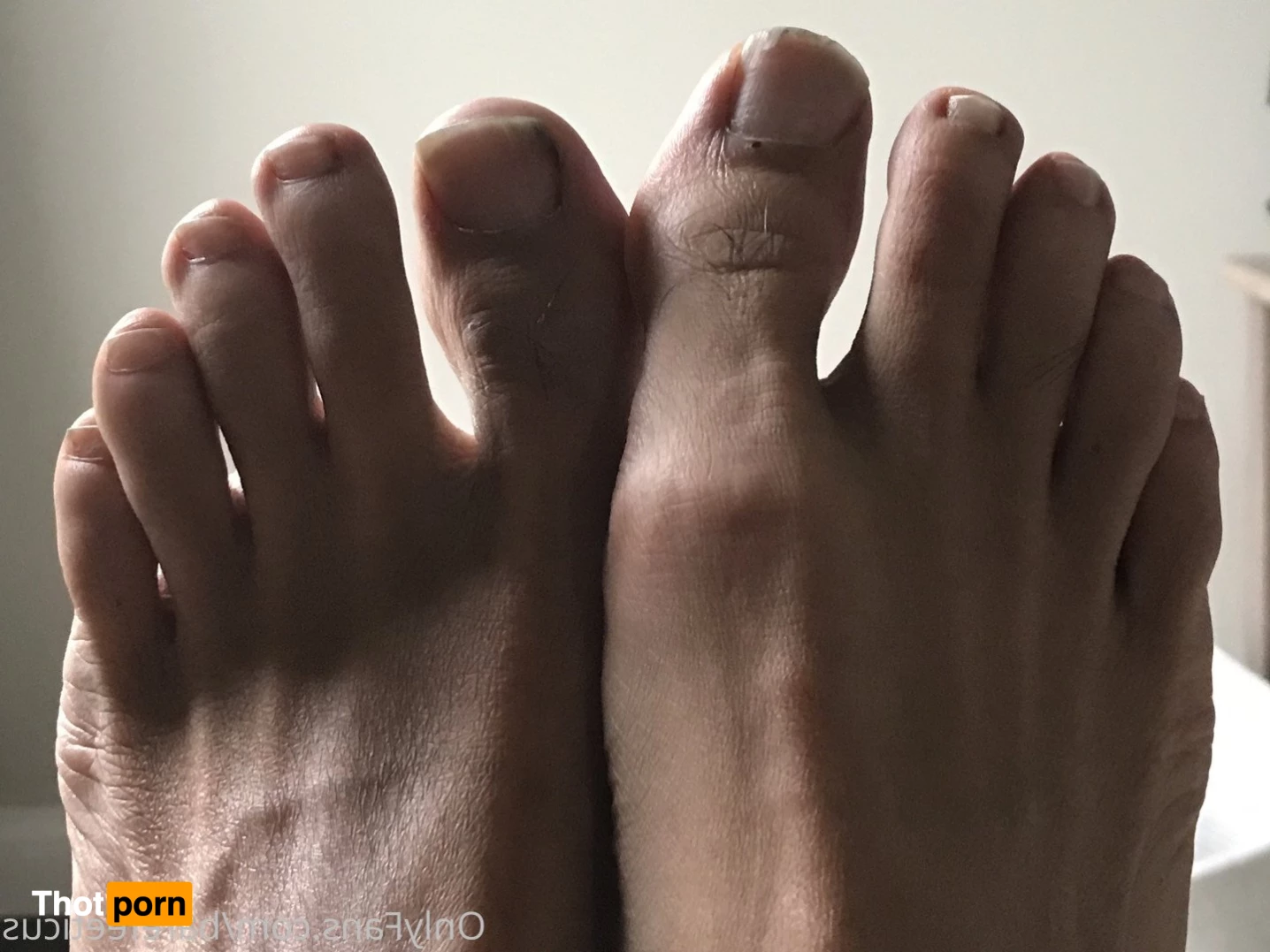 barefeeticus 3745055