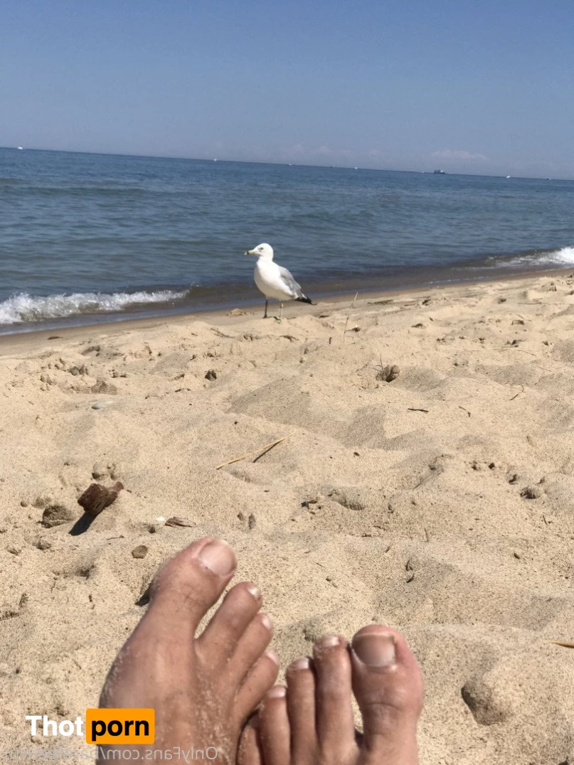 barefeeticus 3747668