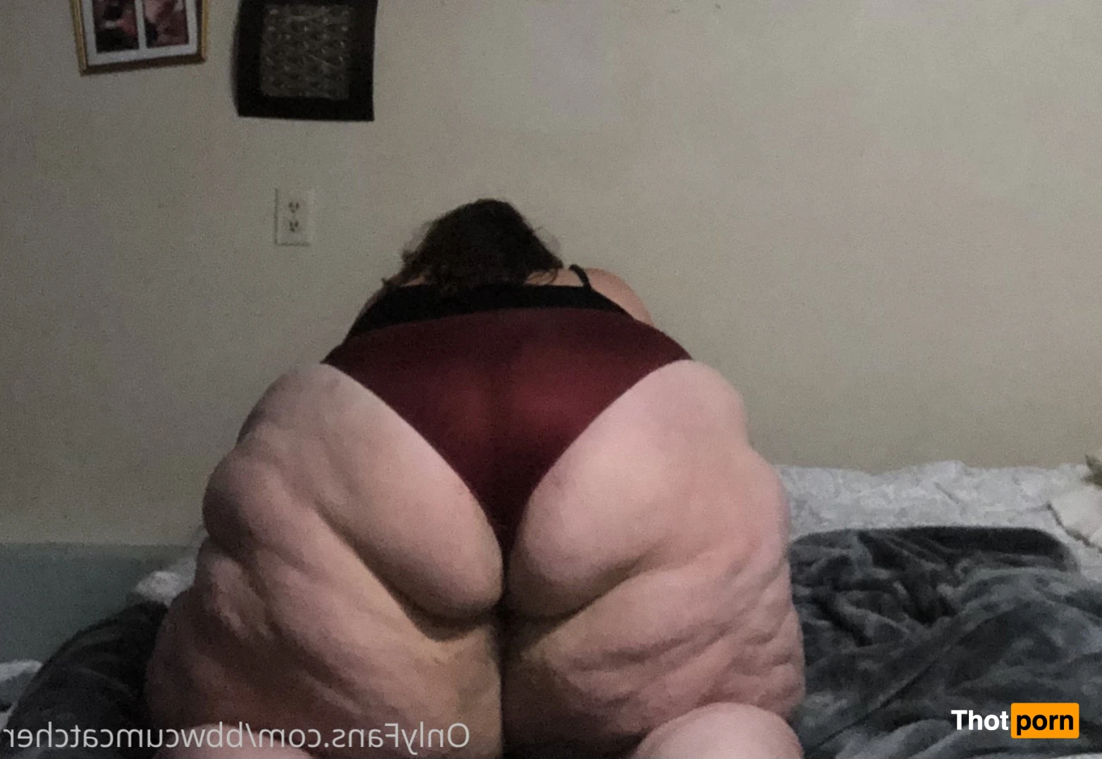 BBWCREAMCATCHER 11737125