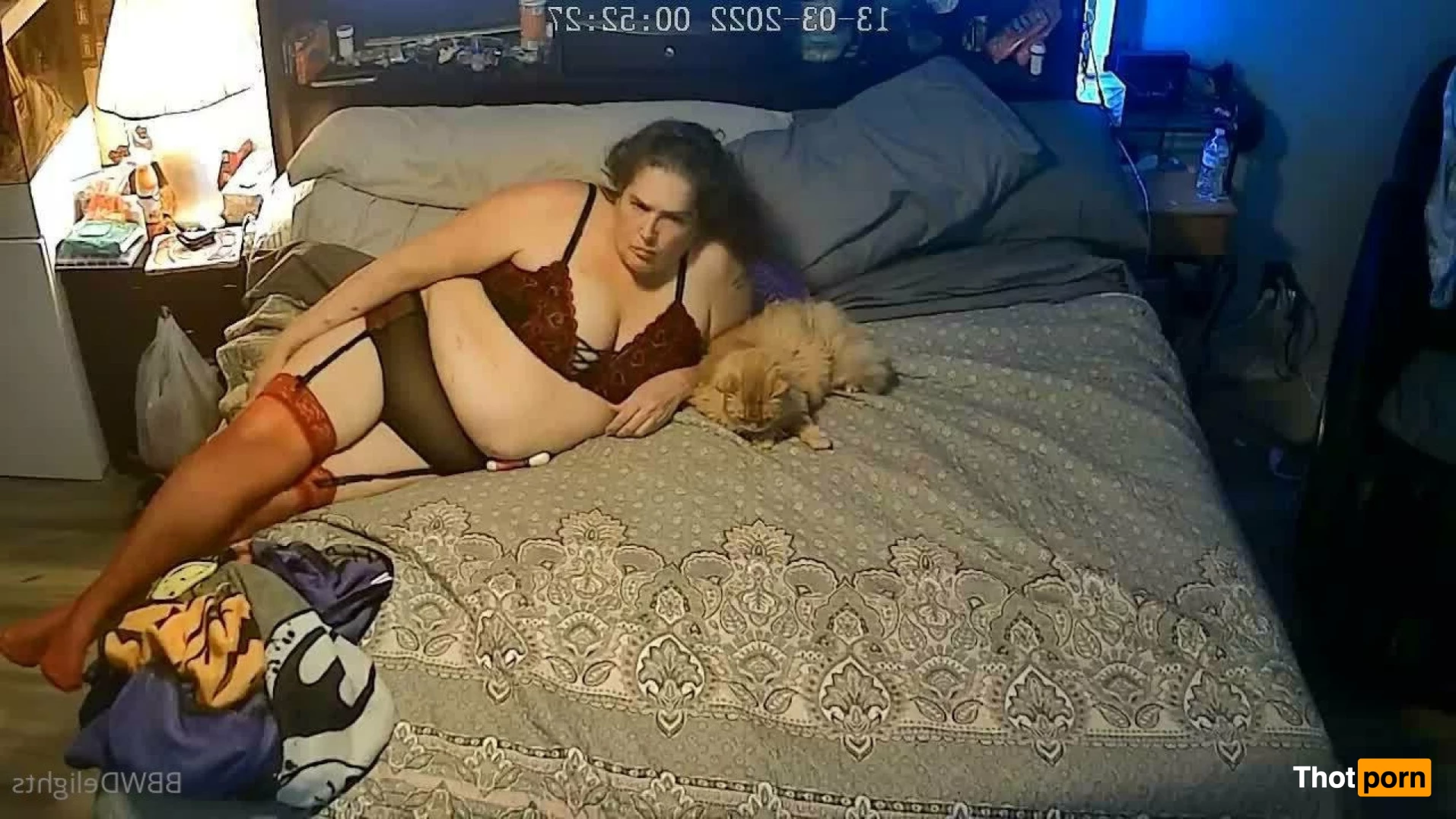 BBW Delights 3895602