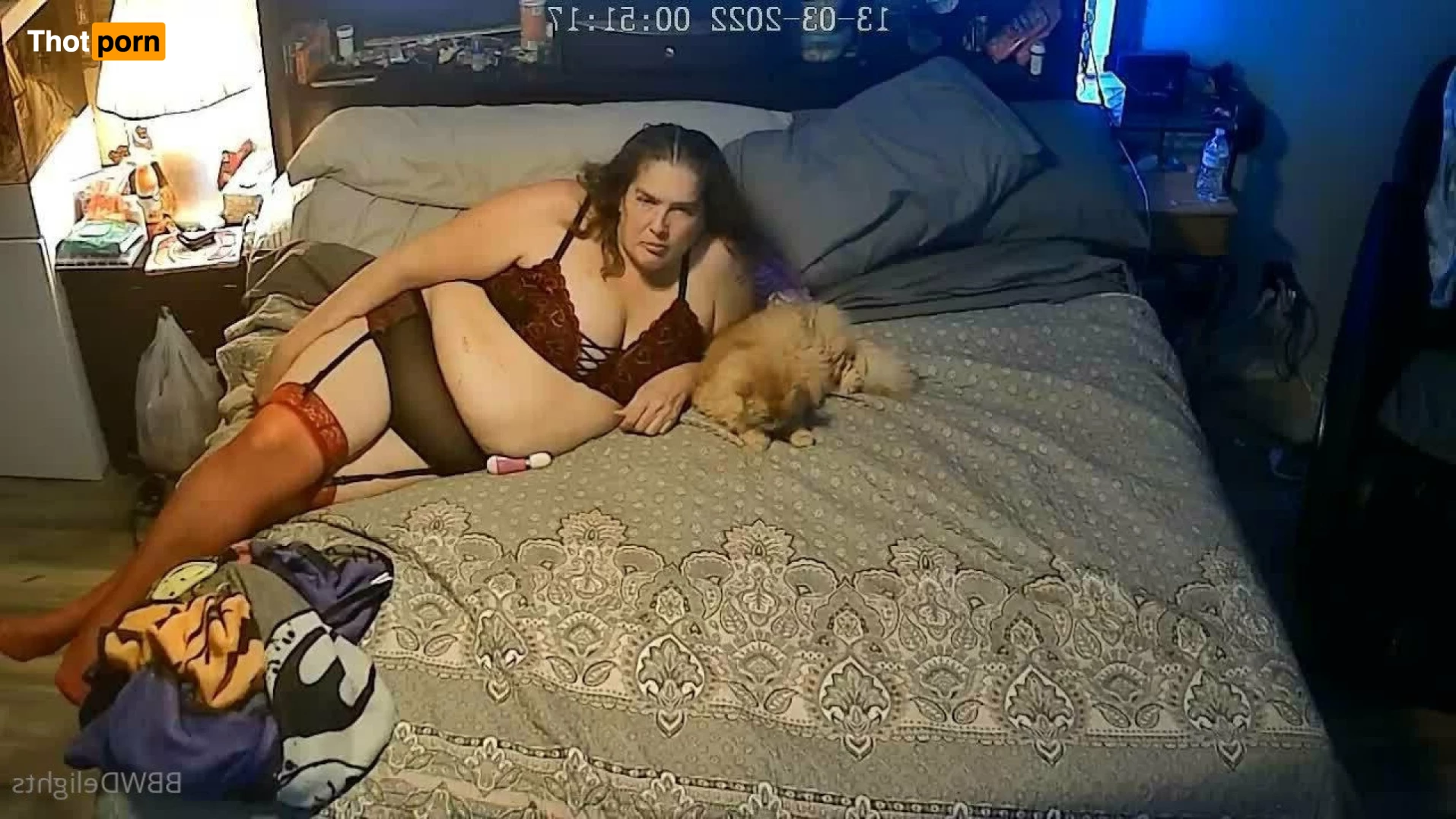 BBW Delights 3896455