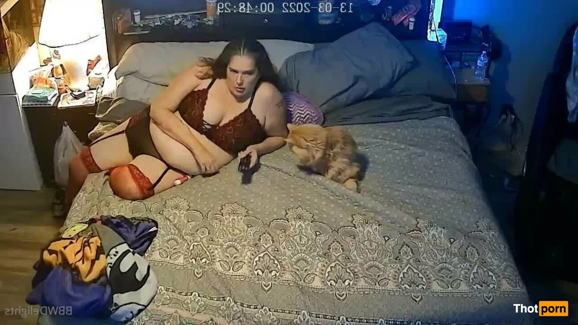 BBW Delights 3897926