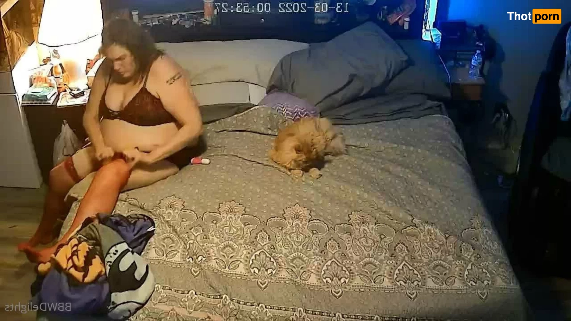 BBW Delights 3898024