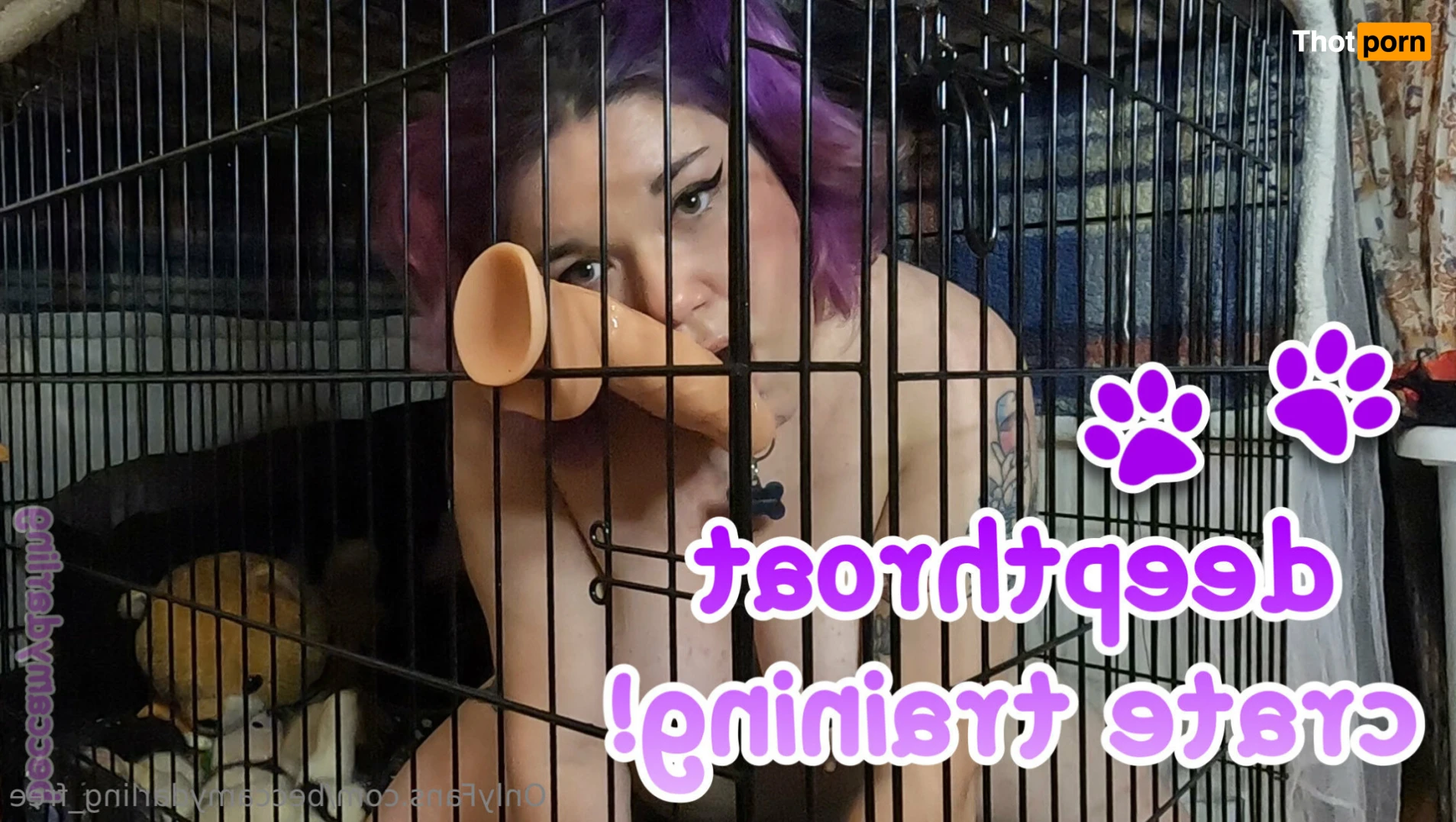 princess rebecca 11718916