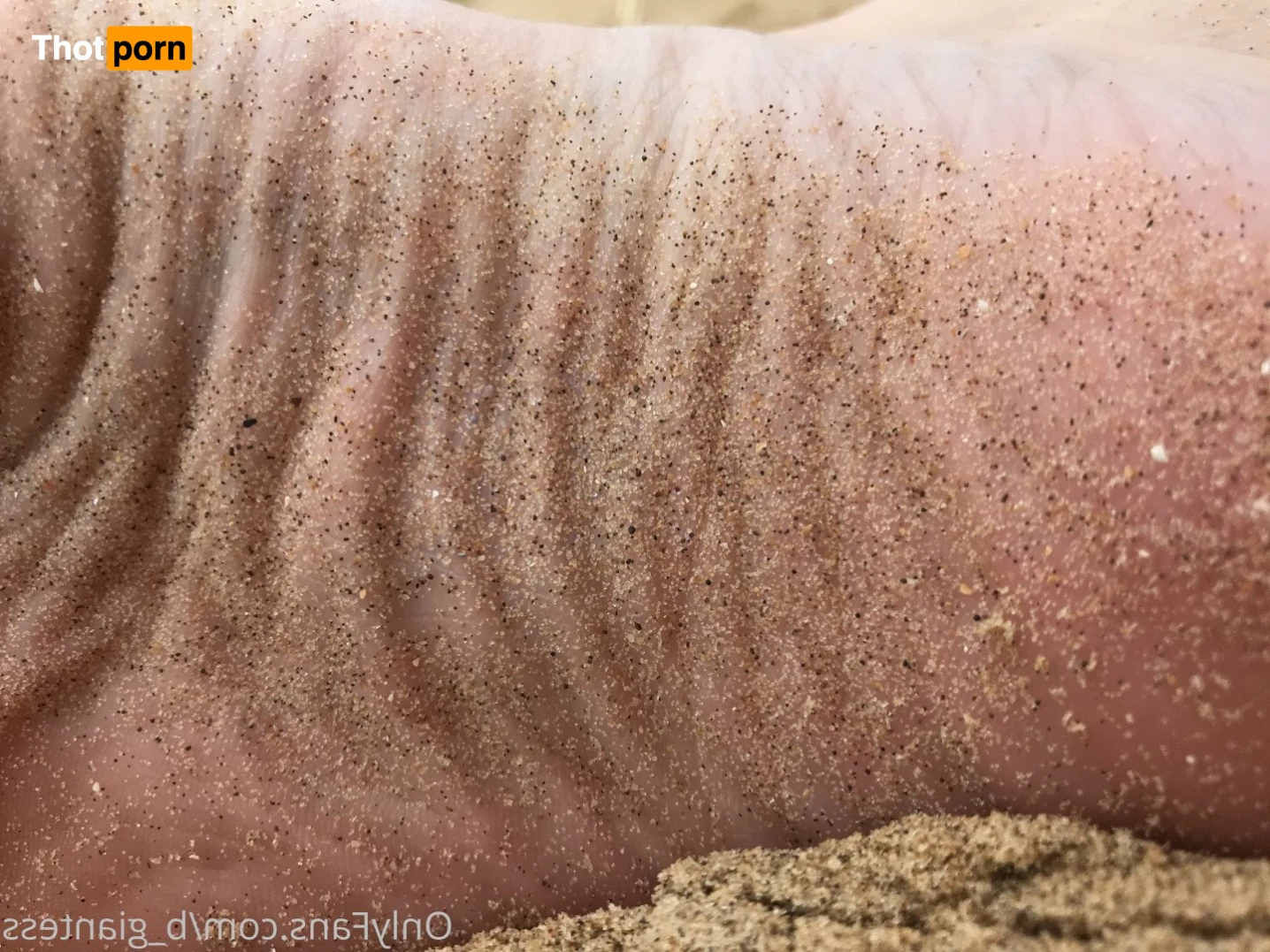 🎀 Big Bad Bee 🎀 3640247