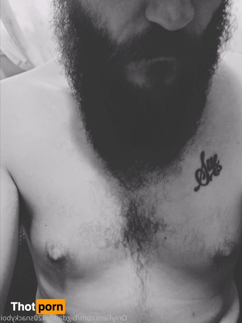 BigDaddyHungryBeardBoi 3744522