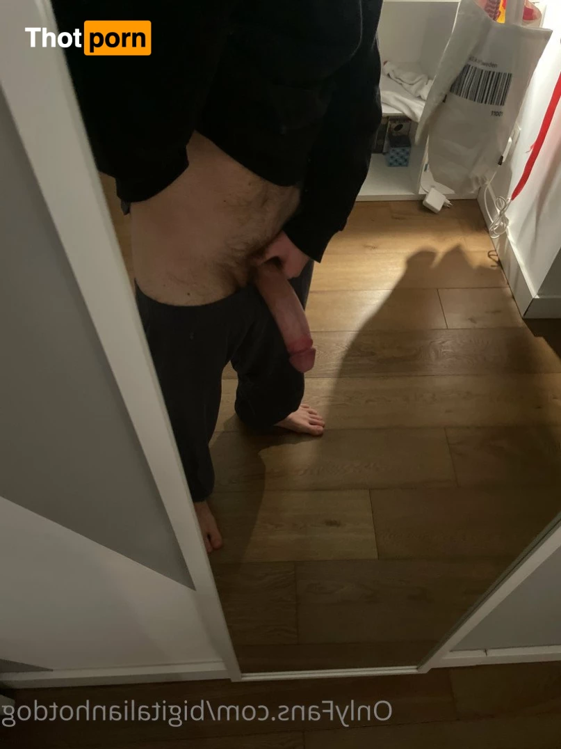 bigitalianhotdog 3605742