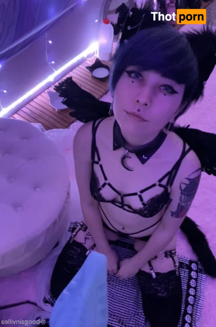 希鴉🌺KIER 6365549