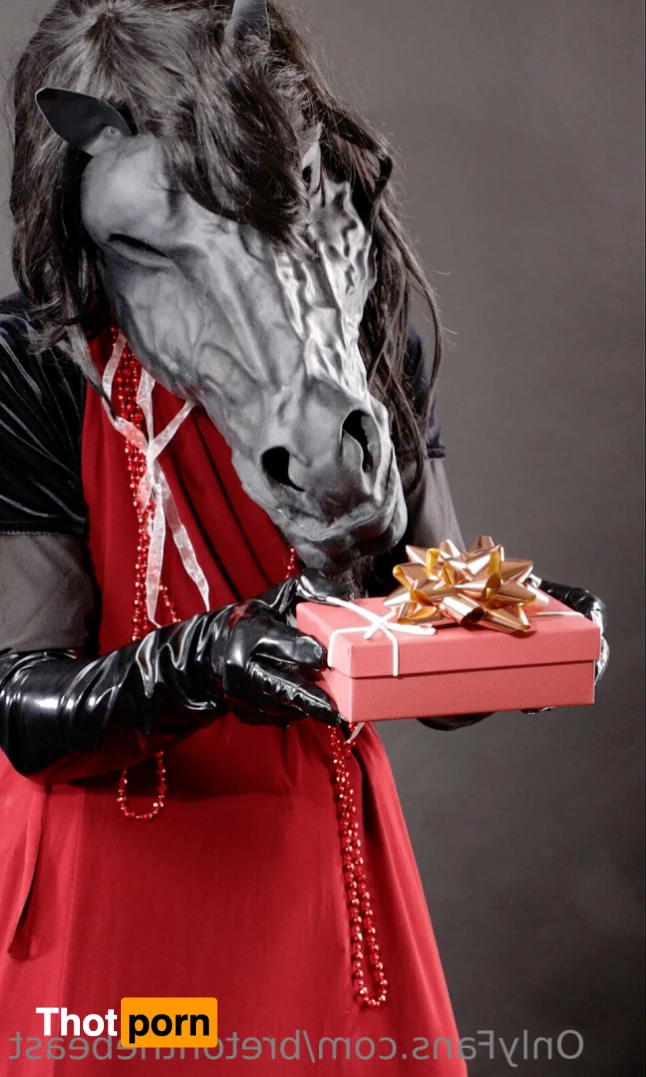 Breton the Beast 9568169