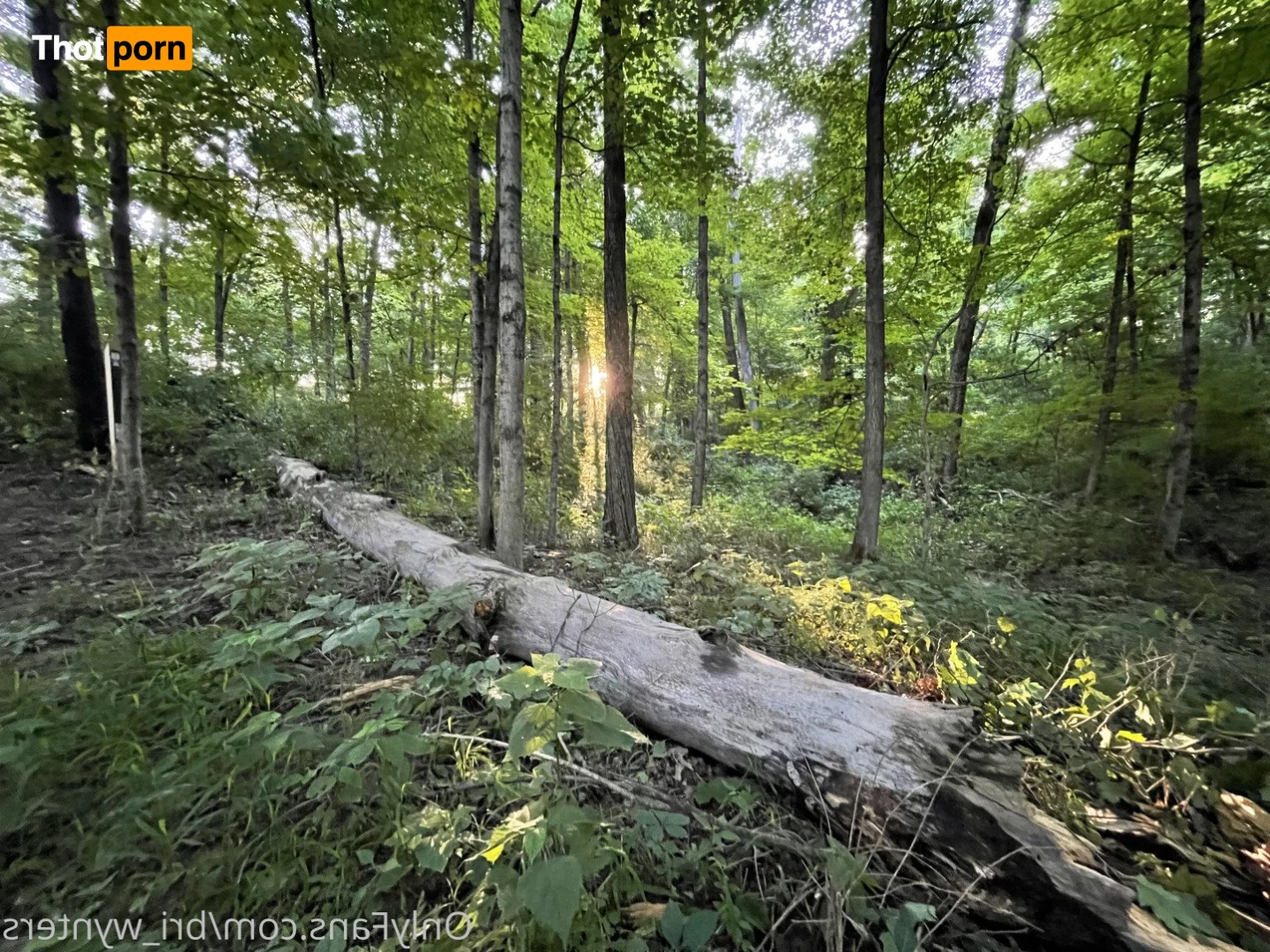 Ghostly Wynters 👻❄ 3823336