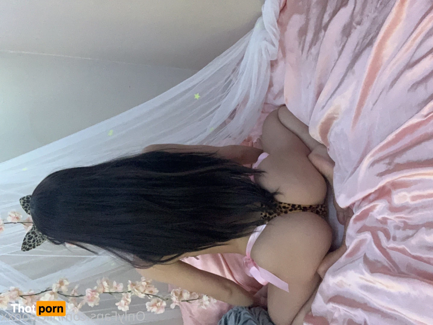 Brianna Fields 6000251