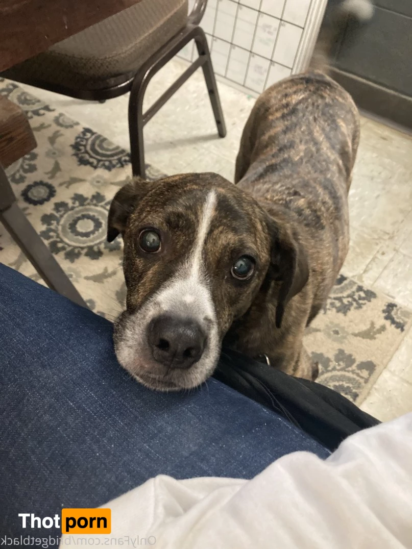 Bridget Black 3655772