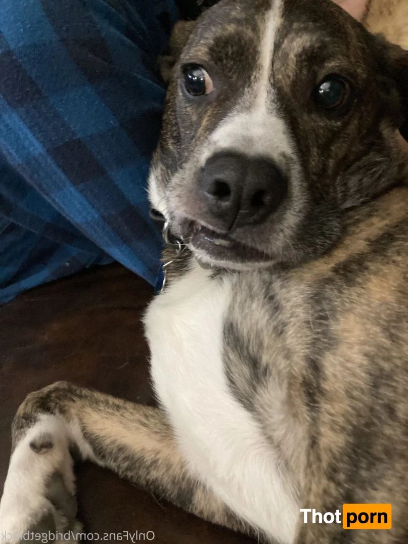 Bridget Black 3655846