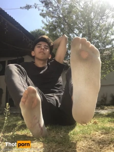 3664432