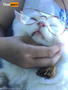3677307