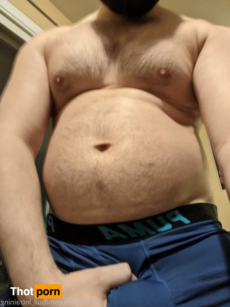 Bull in the Heather 3588261