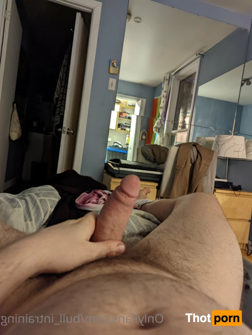 Bull in the Heather 3589944