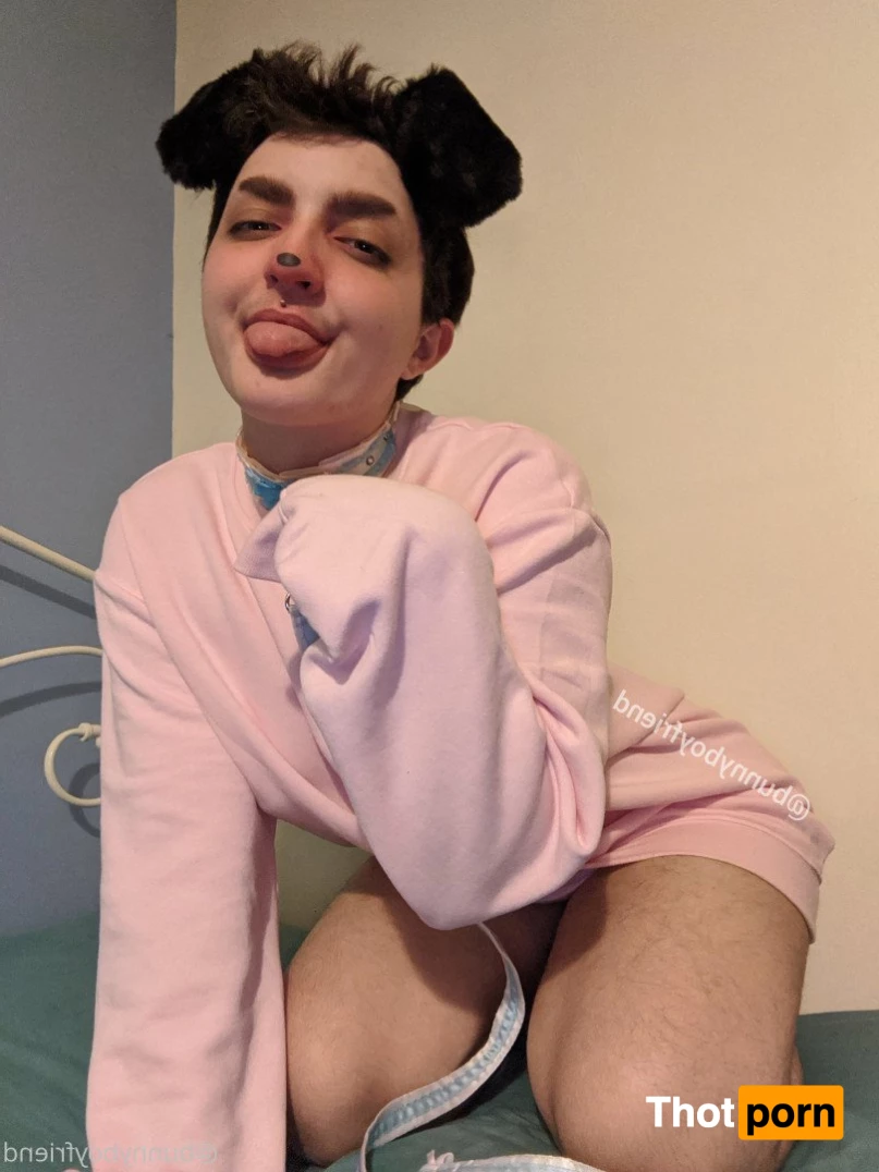 pudding 🍮 3591732