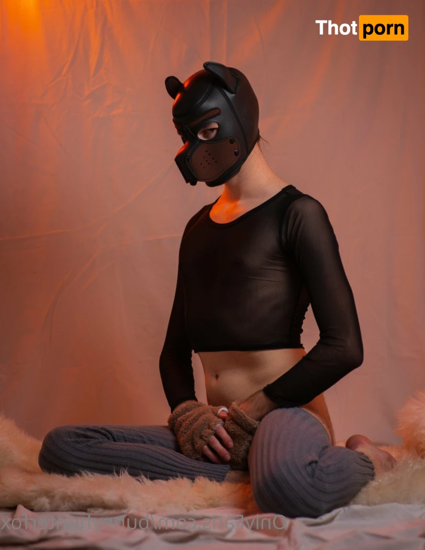 bunnyhunterfox 3340657