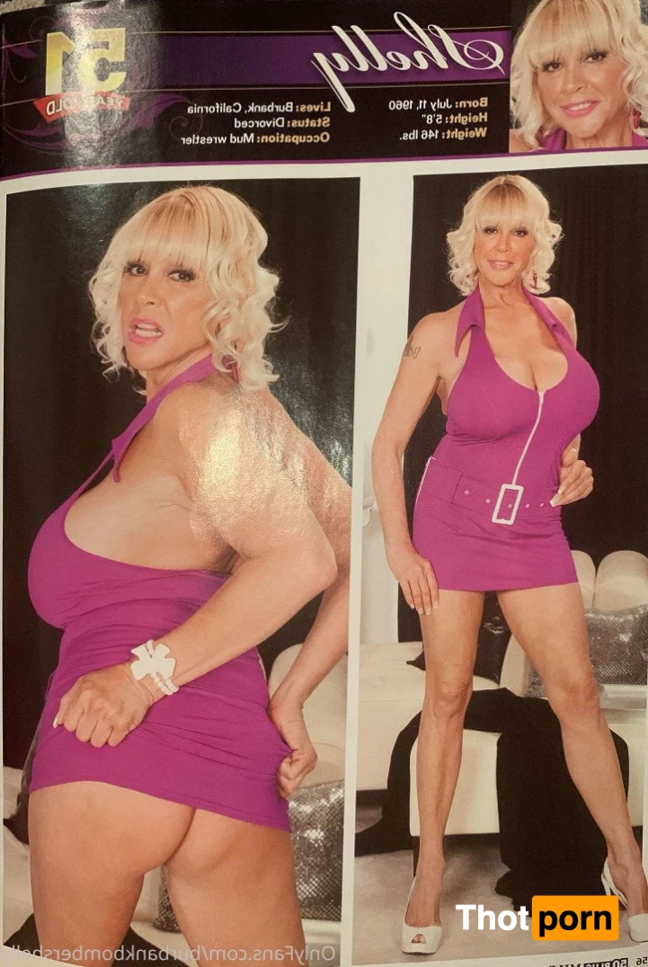 Shelly The Burbank Bomber 3487678