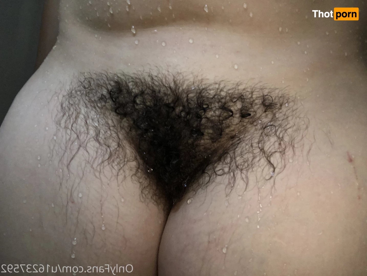 Big Zaddy Butch 3629278