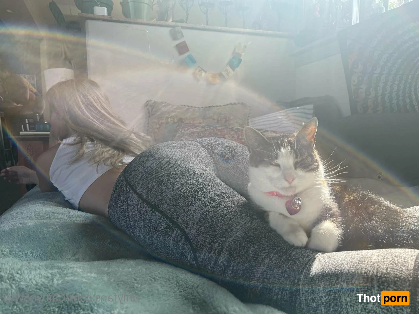 PAWG 🍑 Caitlyn Sway FREE! 15241306