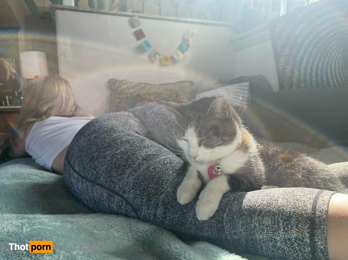 PAWG 🍑 Caitlyn Sway FREE! 15241916