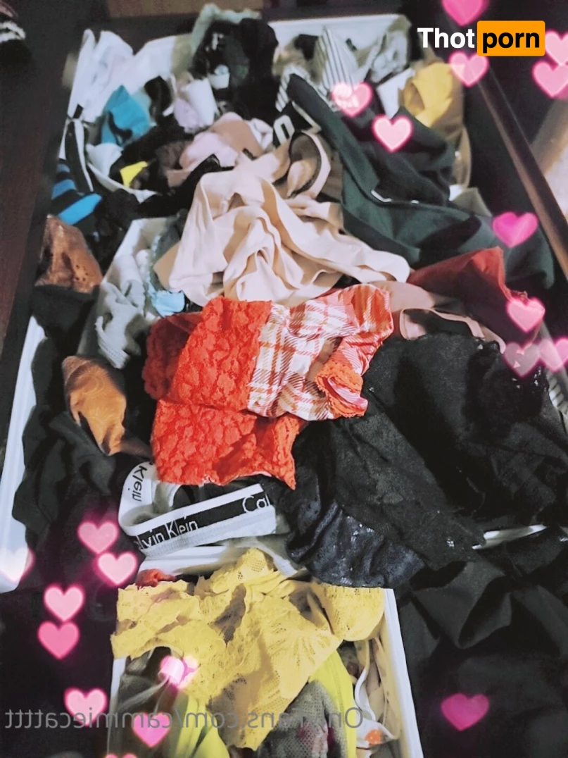 🌸Cammie🌸 6121399