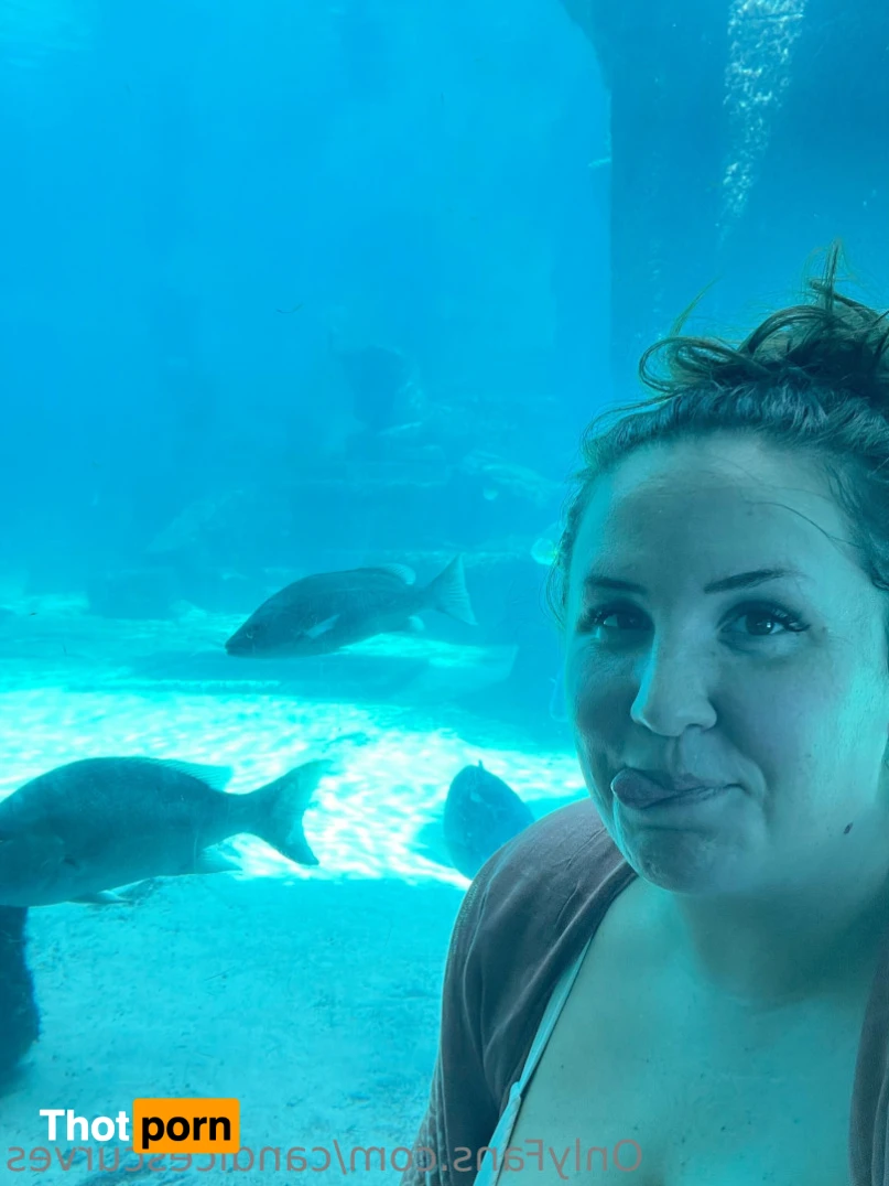 CandicesCurves 15216766